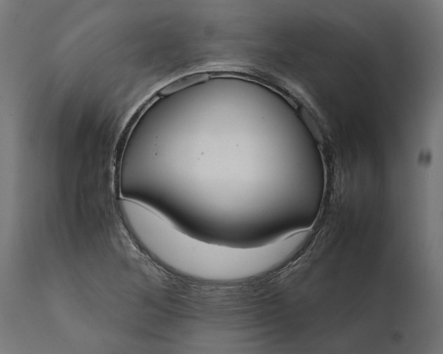 X0000111531268200907281354