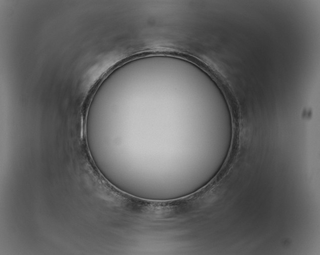 X0000111531269200907281354