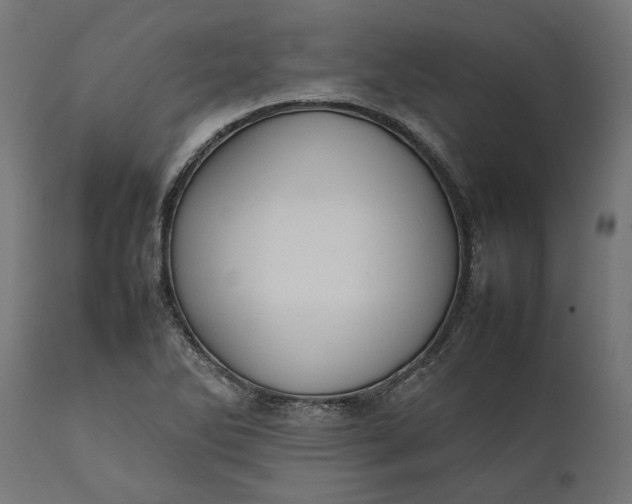 X0000111531270200907281354