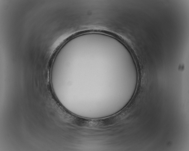 X0000111531271200907281354