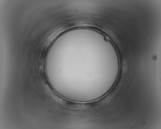 X0000111531273200907281354