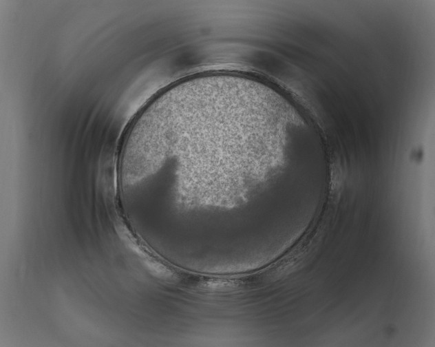 X0000111531274200907281354