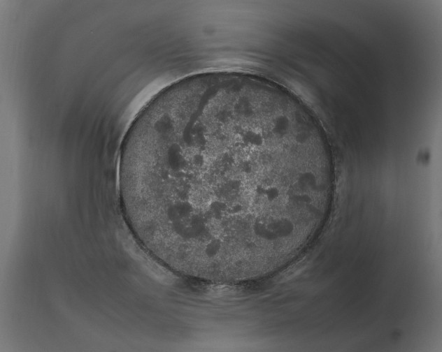 X0000111531275200907281354