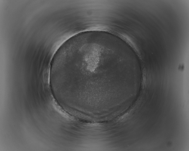 X0000111531276200907281354