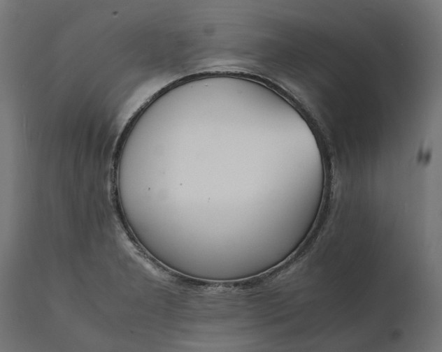 X0000111531277200907281354