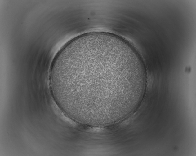 X0000111531278200907281354