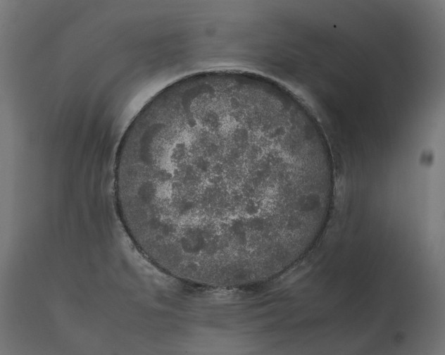 X0000111531279200907281354