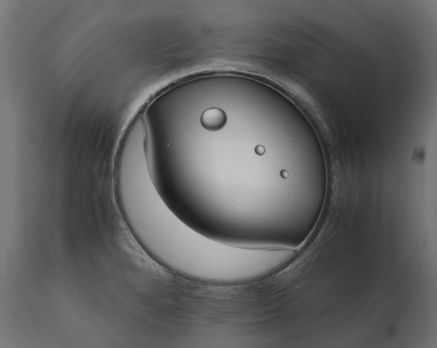 X0000111531280200907281354