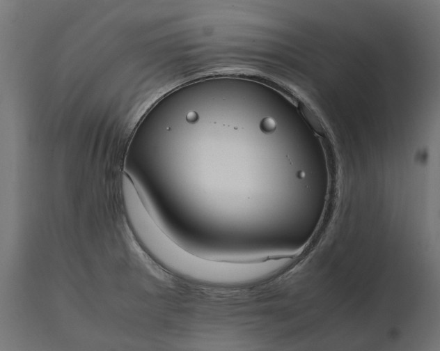 X0000111531281200907281354