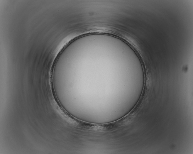 X0000111531283200907281354