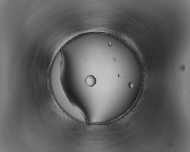 X0000111531284200907281354