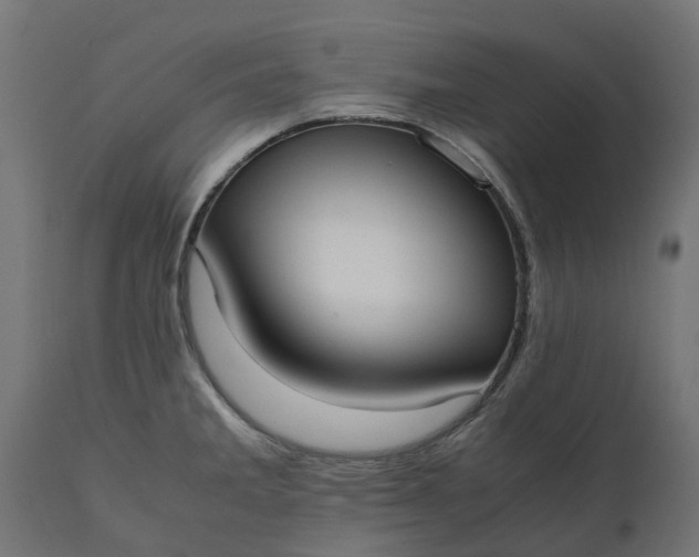 X0000111531285200907281354