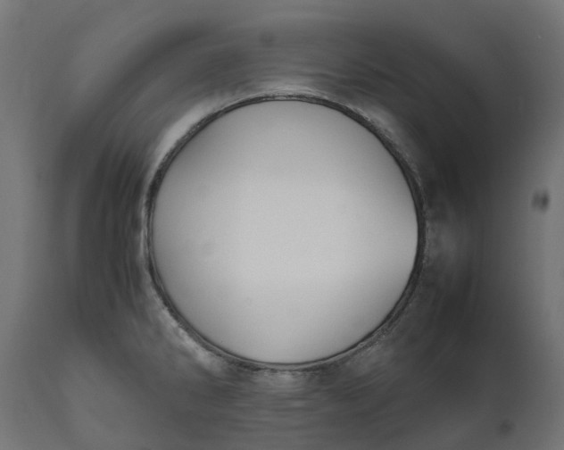 X0000111531286200907281354