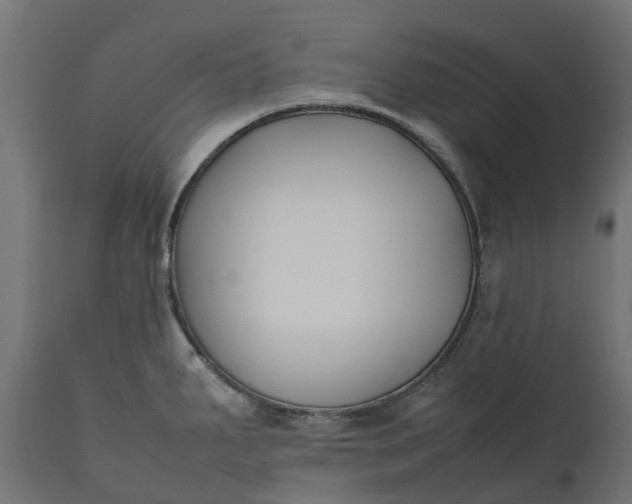 X0000111531287200907281354