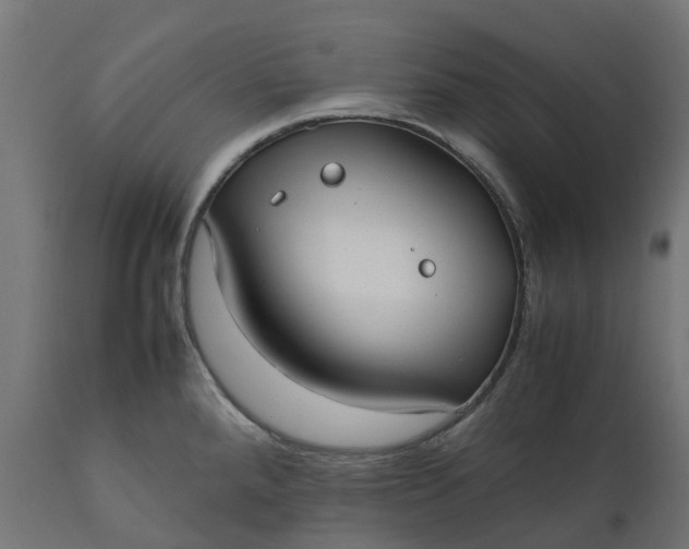 X0000111531288200907281354