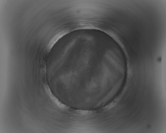 X0000111531289200907281354