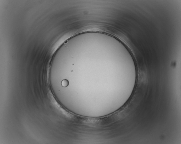 X0000111531290200907281354