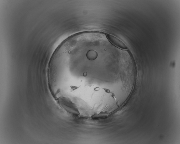 X0000111531291200907281354