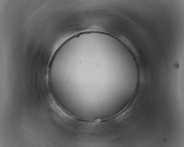 X0000111531292200907281354