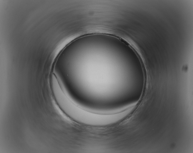 X0000111531293200907281353