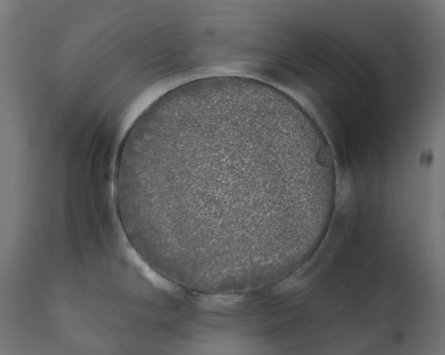 X0000111531294200907281353