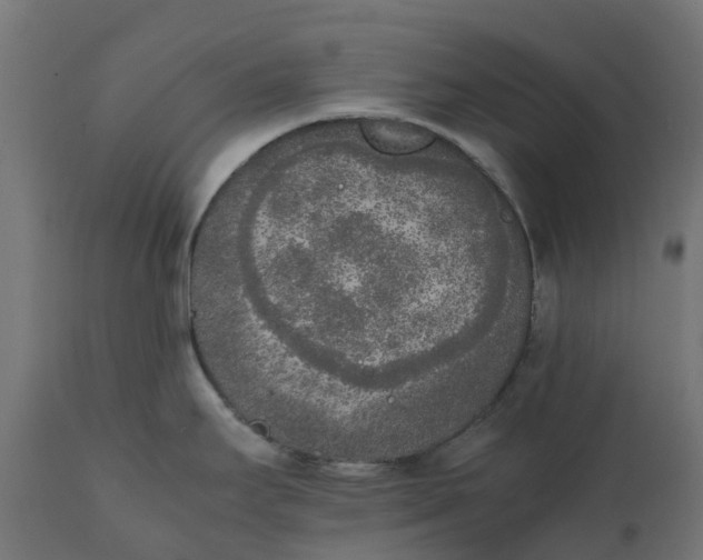 X0000111531295200907281353