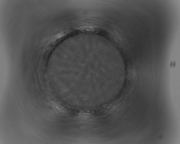 X0000111531297200907281353