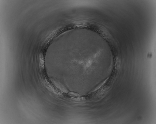 X0000111531298200907281353