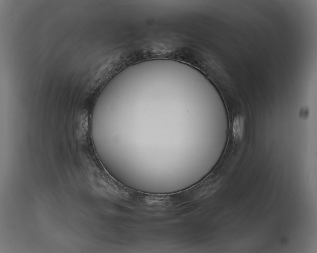 X0000111531299200907281353