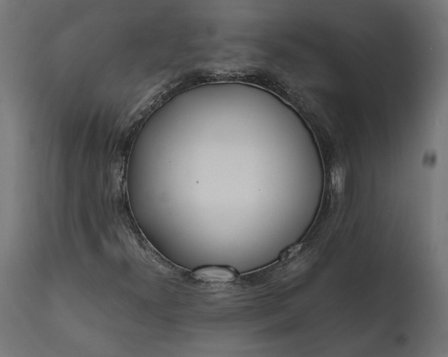 X0000111531300200907281353