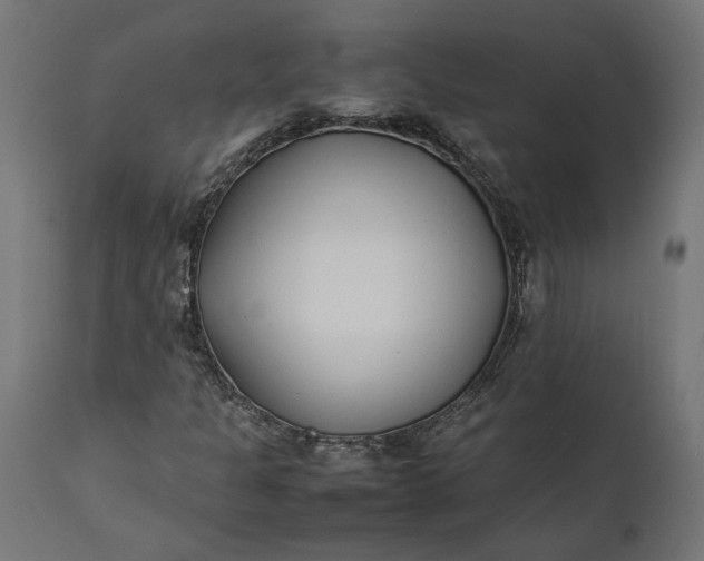 X0000111531301200907281353