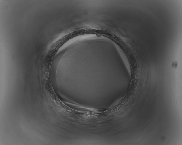 X0000111531303200907281353