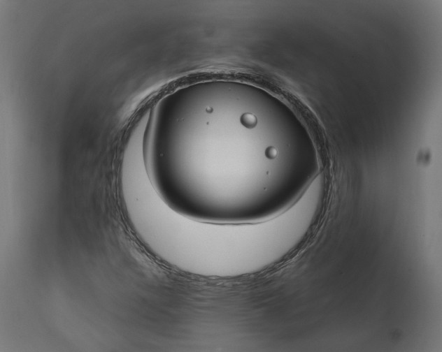 X0000111531304200907281353