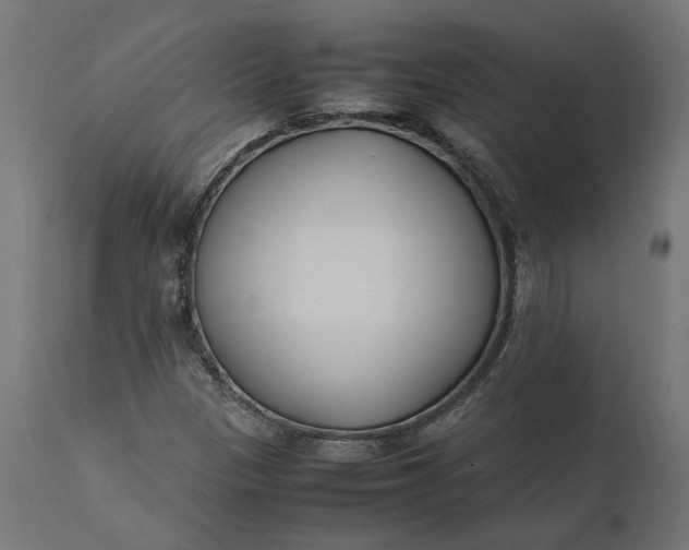 X0000111531305200907281353