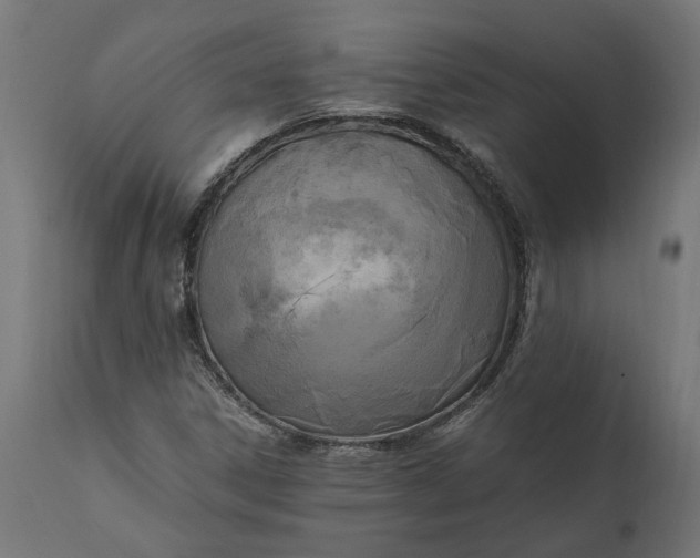 X0000111531306200907281353