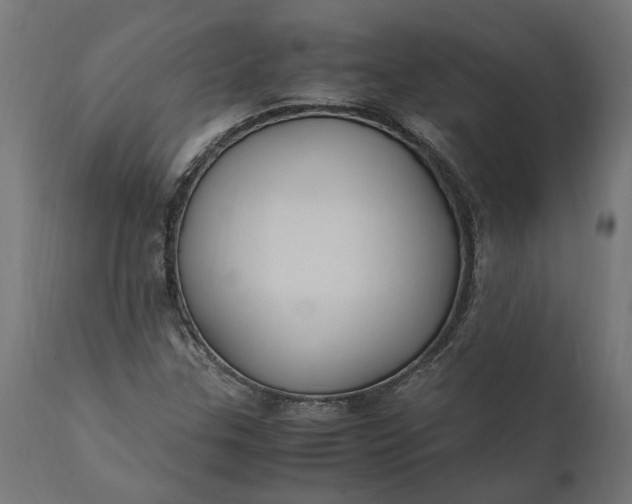 X0000111531307200907281353