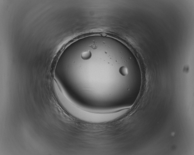 X0000111531308200907281353