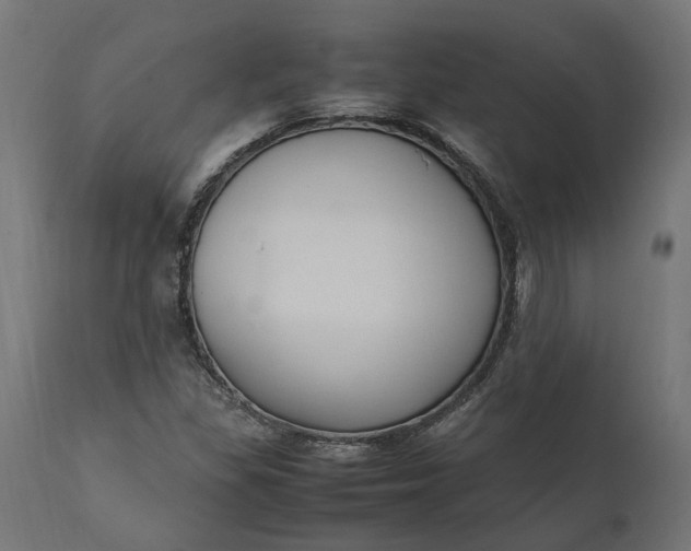 X0000111531309200907281353