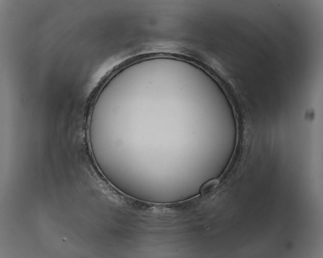 X0000111531312200907281353