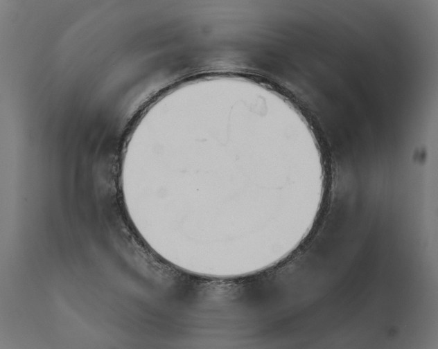 X0000111531314200907281353