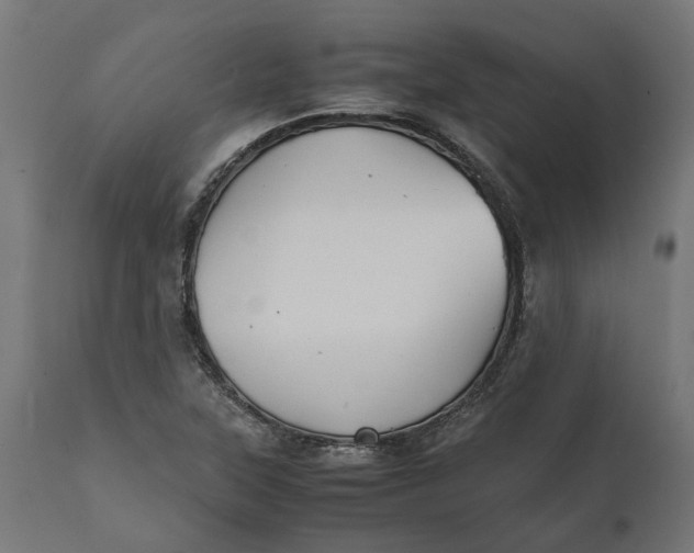 X0000111531315200907281353