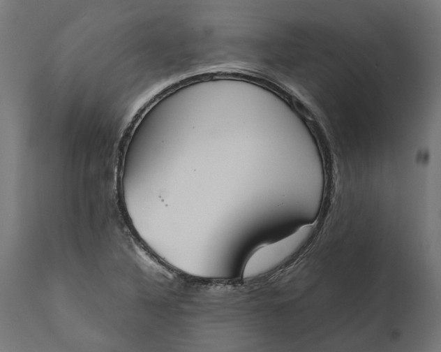 X0000111531316200907281353