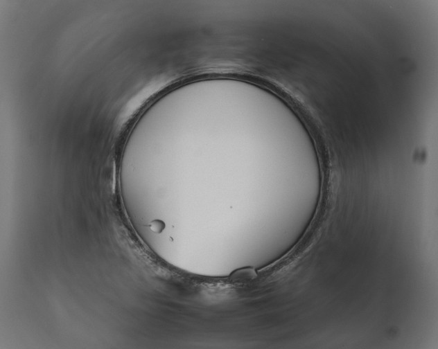 X0000111531317200907281353