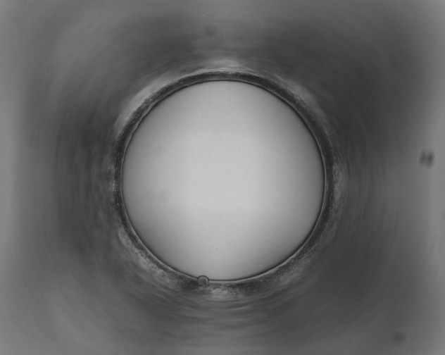 X0000111531318200907281353