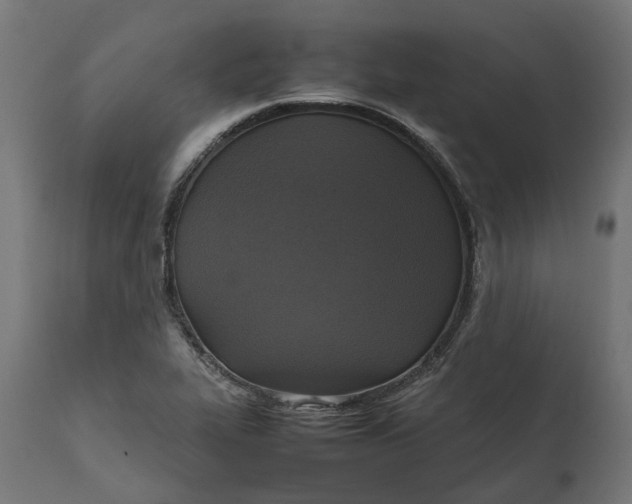 X0000111531319200907281353