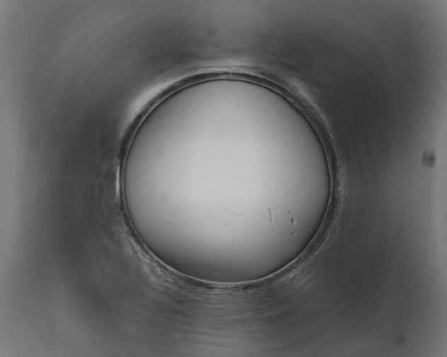 X0000111531320200907281353