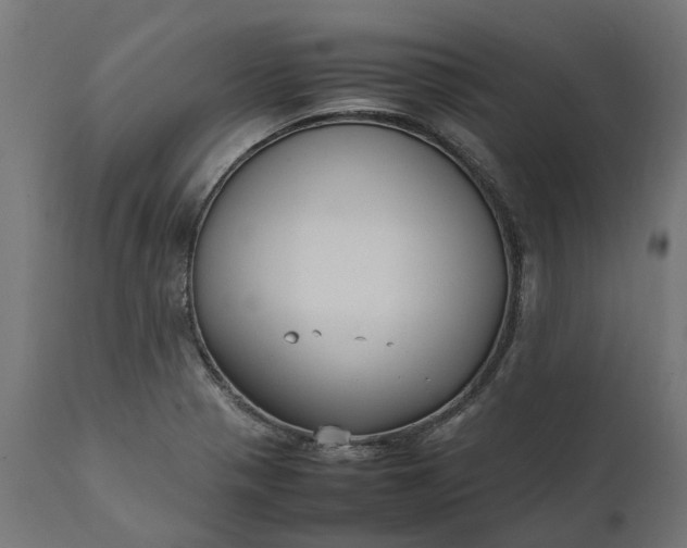 X0000111531321200907281353