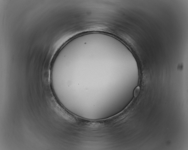 X0000111531324200907281353