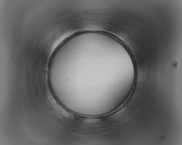 X0000111531325200907281353