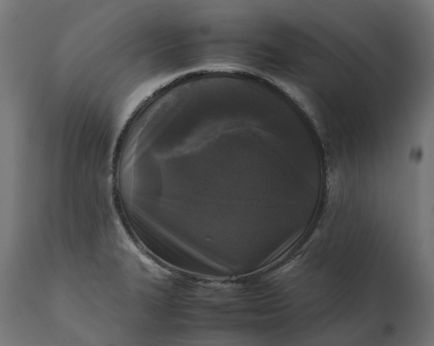 X0000111531327200907281353